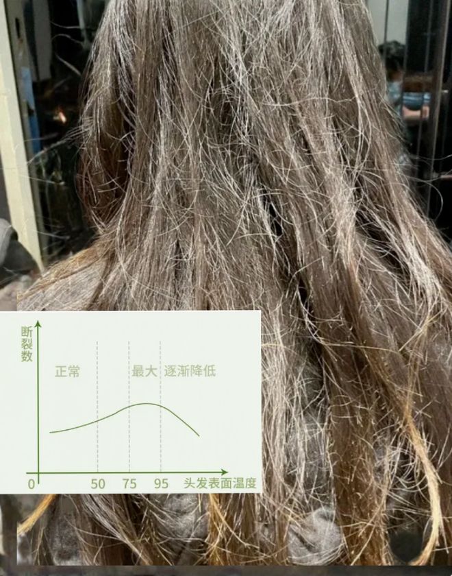 吹风机就不配有一头秀发了?新葡京娱乐用不起好几千的(图6) 吹风机就不配有一头秀发了?新葡京娱乐用不起好几千的(图6)